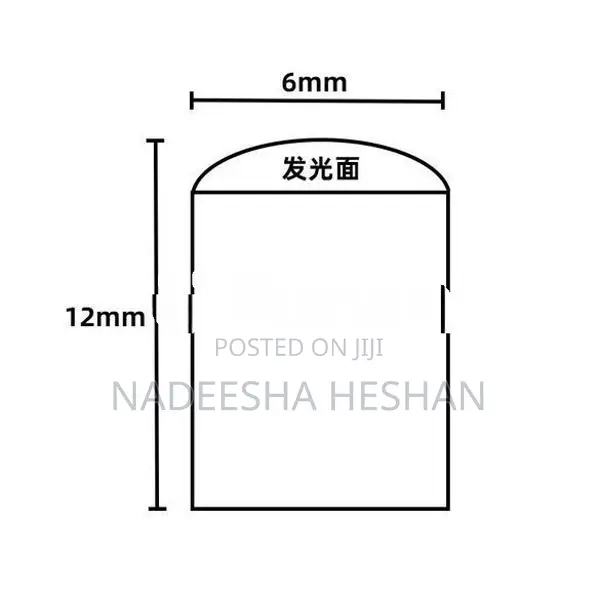 12V DC Neon Strip Light - 5m (P04818)