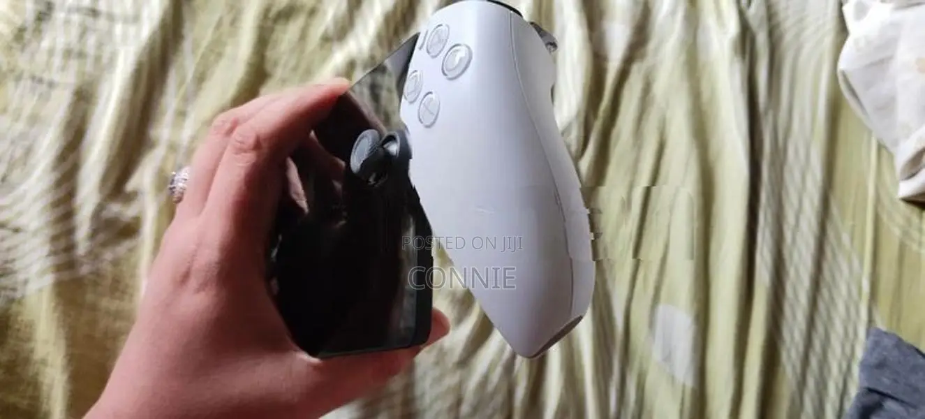 Sony PS Portal
