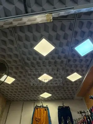 Ceiling Light