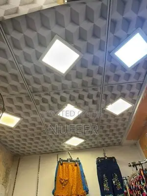 Ceiling Light