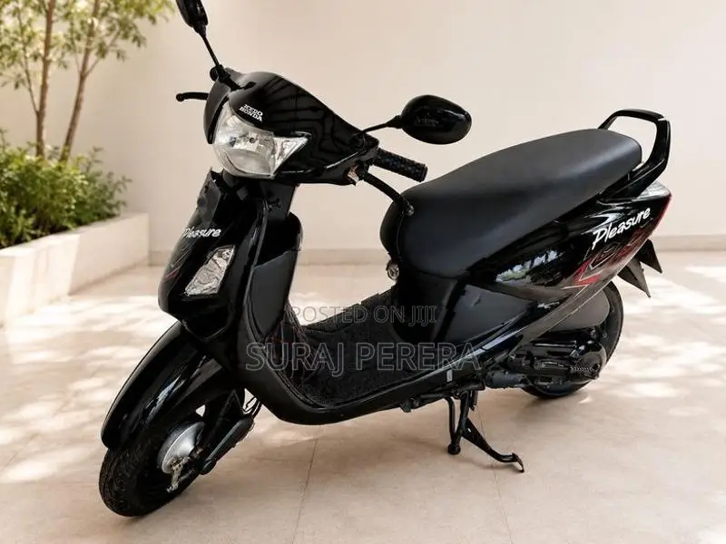 Hero Pleasure 2012