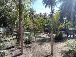 Land for Sale in Kaluwanchikudy