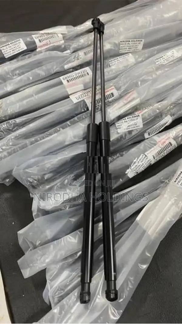 Dicky Shocks for Toyota Prius 30