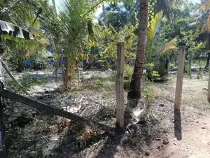 Land for Sale in Kaluwanchikudy