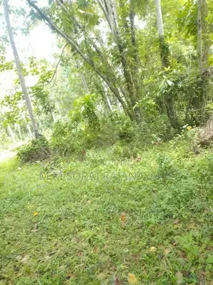 Suitable Land for Sale in Yatiyana