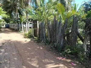 Land for Sale in Kaluwanchikudy
