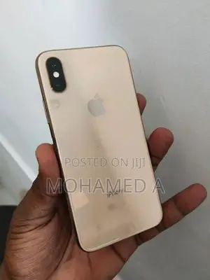 Apple iPhone XS 256Gb (Used)