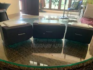 Panasonic Home Theater Speaker