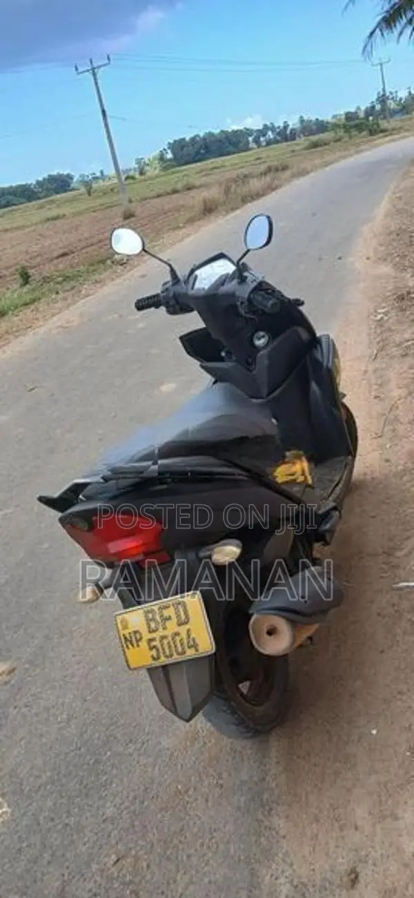 Yamaha RayZR 2017