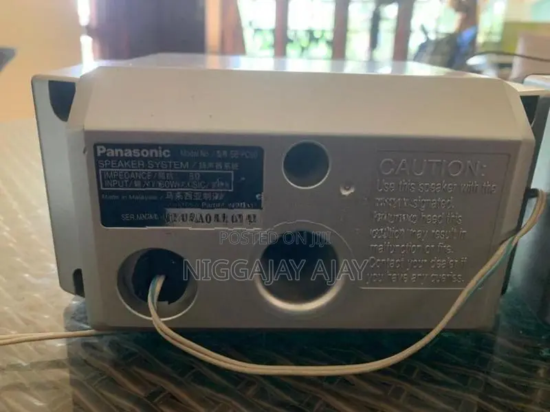 Panasonic Home Theater Speaker
