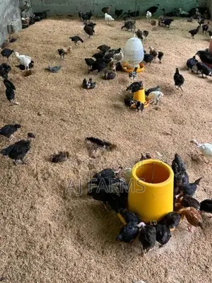 Country Chicken