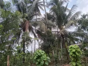 29 Perches in Millaniya Junction (200 m to Junction)