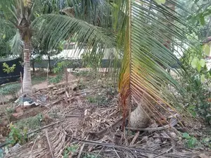 29 Perches in Millaniya Junction (200 m to Junction)