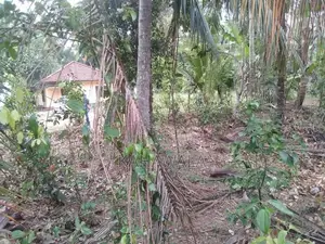 29 Perches in Millaniya Junction (200 m to Junction)