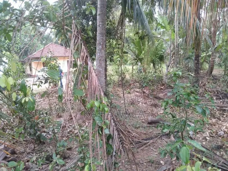 29 Perches in Millaniya Junction (200 m to Junction)