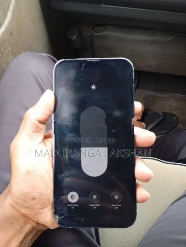 Apple iPhone 13 Pro Max (Used)