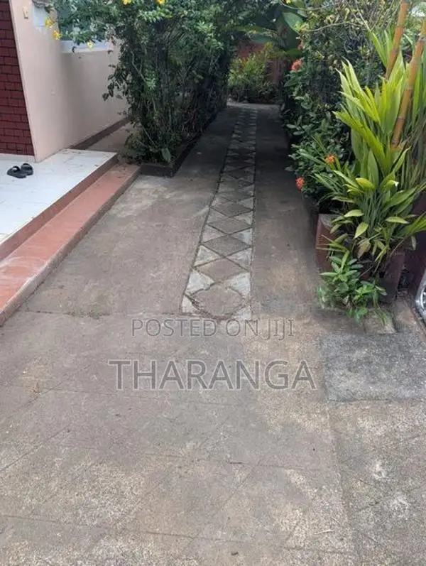 Single House for Rent in Dehiwala