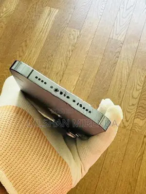Apple iPhone 13 Pro Max (Used)