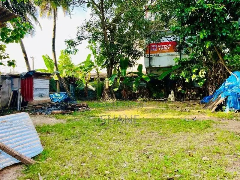 11P Land for Sale in Dehiwala