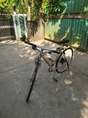 Japan Bicycle