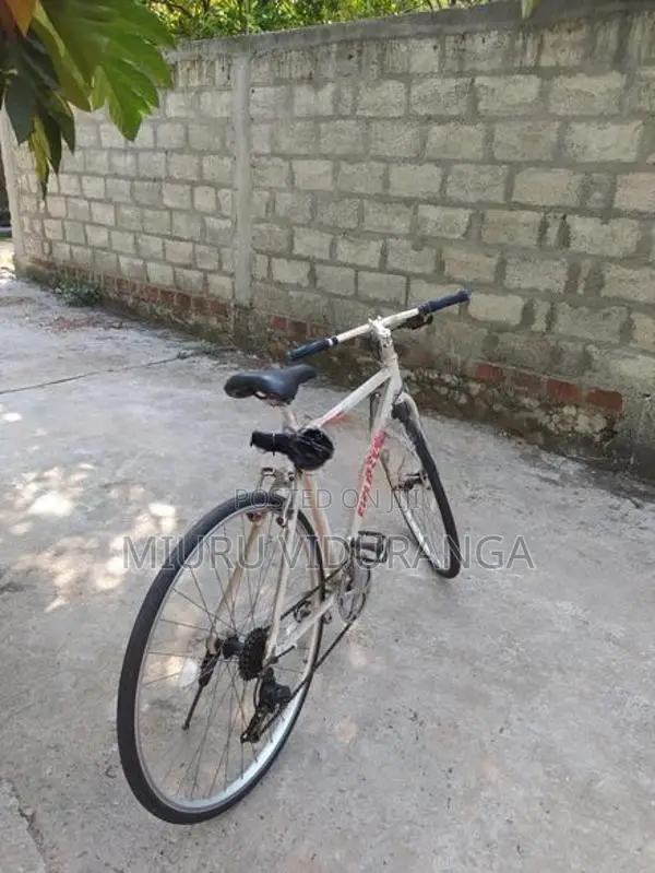 Japan Bicycle