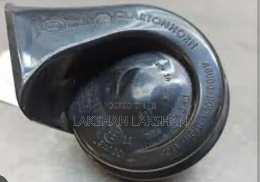 BMW Horn