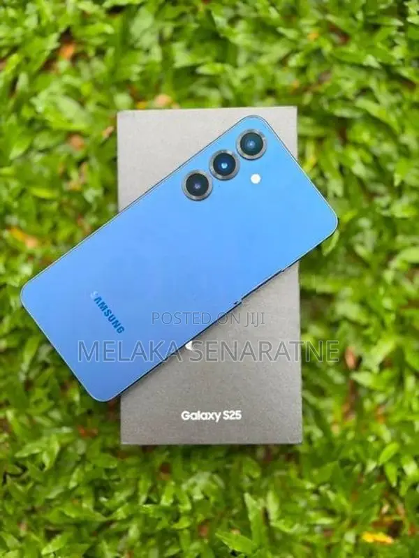 Samsung Galaxy S25 (Used)