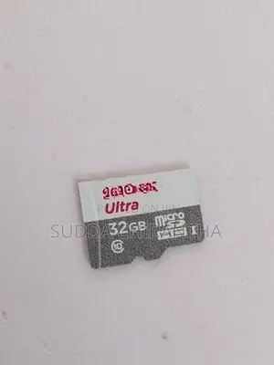 Sandisk 32GB Chip