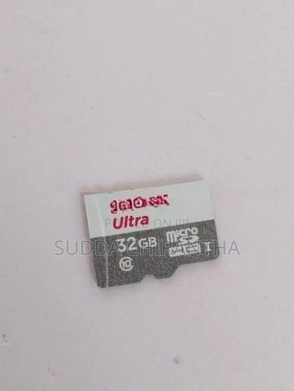 Sandisk 32GB Chip