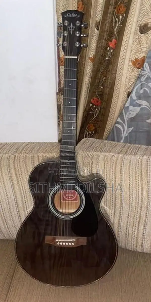 Calao Acoustic Guitar