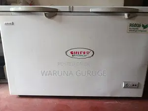 Singer Freezer 343L