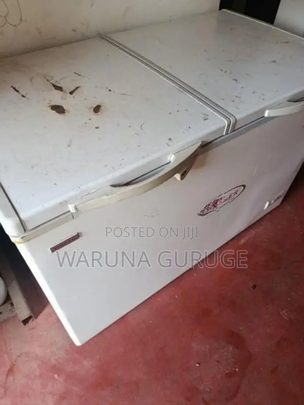 Singer Freezer 343L