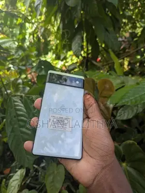 Google Pixel 6 (Used)