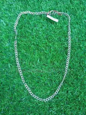 Silver Chain