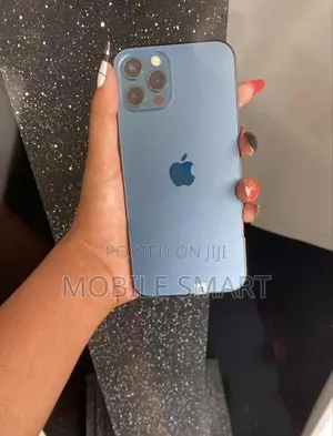 Apple iPhone 12 Pro 256GB (Used)