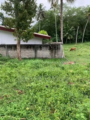 Land for Sale in Mawaramandiya