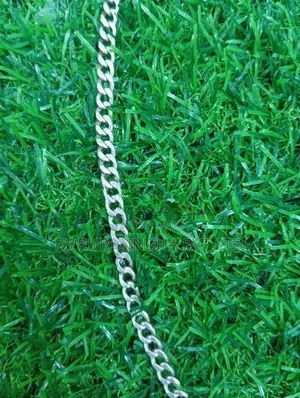Silver Chain