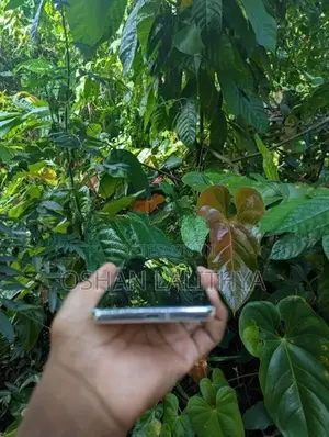 Google Pixel 7 Pro (Used)