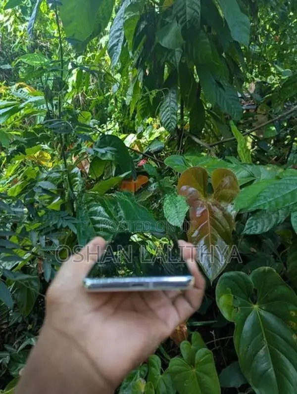 Google Pixel 7 Pro (Used)