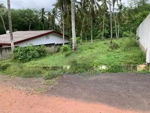 Land for Sale in Mawaramandiya