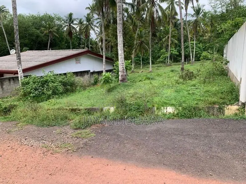 Land for Sale in Mawaramandiya