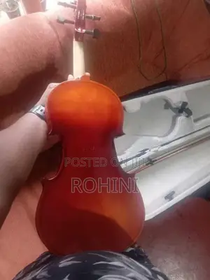 Violin