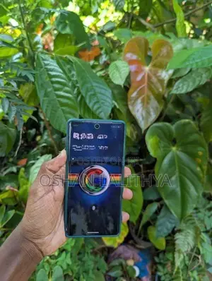Google Pixel 7 Pro (Used)
