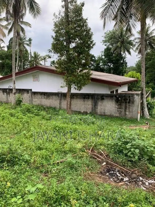 Land for Sale in Mawaramandiya
