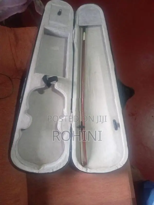 Violin