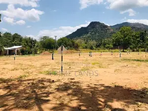 Sale For Land In Dambulla