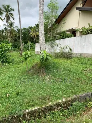 Land for Sale in Mawaramandiya