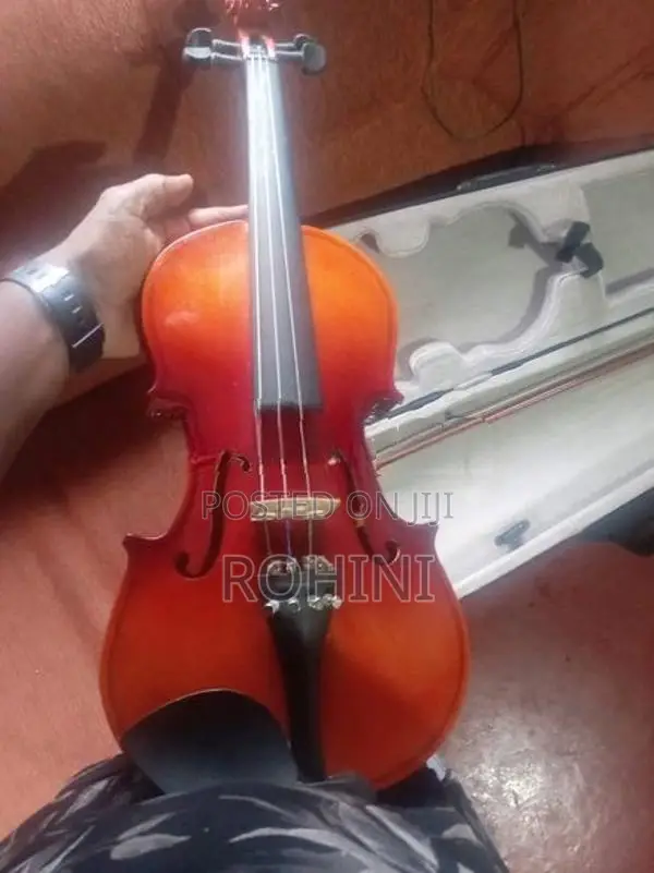 Violin