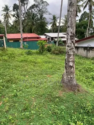 Land for Sale in Mawaramandiya