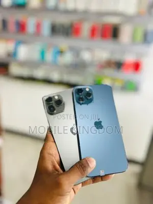 Apple iPhone 12 Pro Max 256GB 5G (Used)